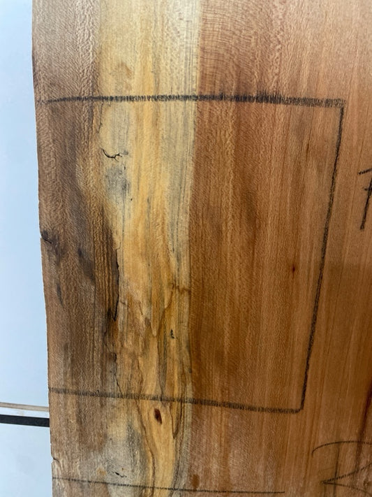 Sycamore Slab #2985