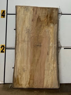 Sycamore Slab #2986