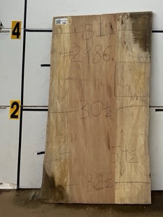 Sycamore Slab #2986