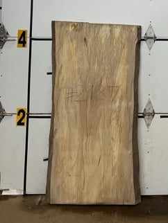 Sycamore Slab #2987