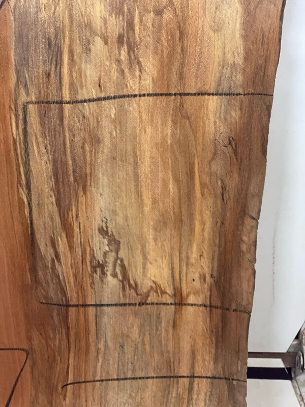 Sycamore Slab #2987