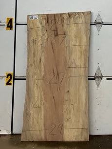 Sycamore Slab #2987