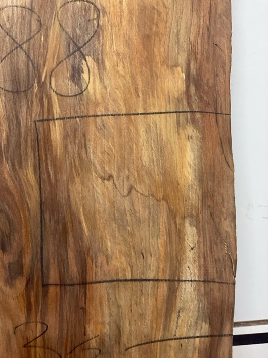 Sycamore Slab #2988