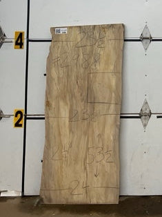 Sycamore Slab #2988