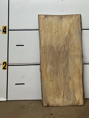 Sycamore Slab #3012