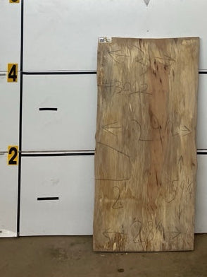 Sycamore Slab #3012