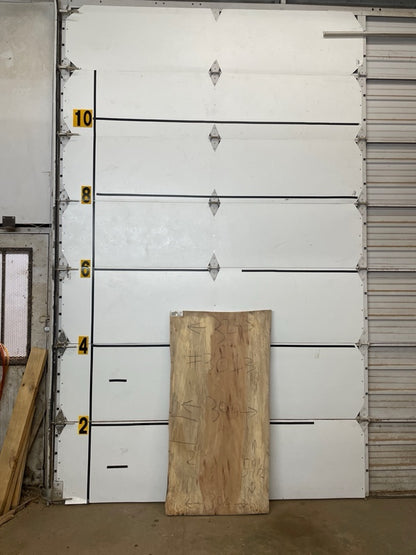 Sycamore Slab #3013