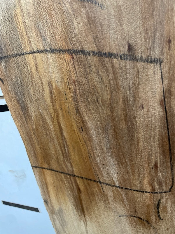 Sycamore Slab #3013
