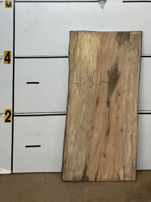Sycamore Slab #3017