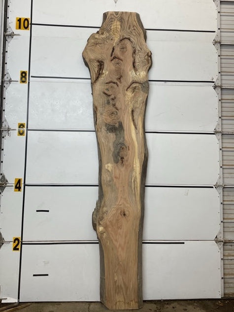 Red Oak Slab #3052