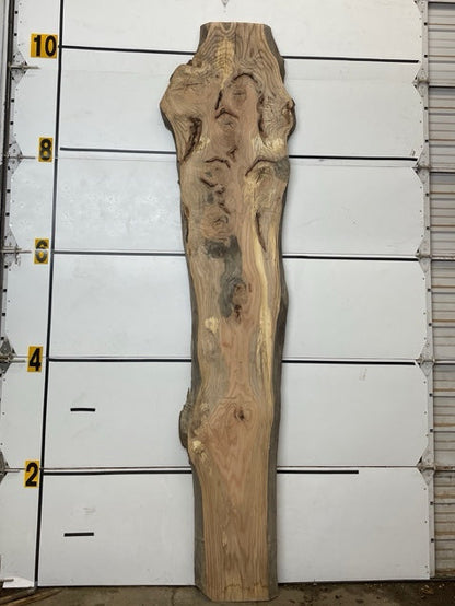 Red Oak Slab #3052