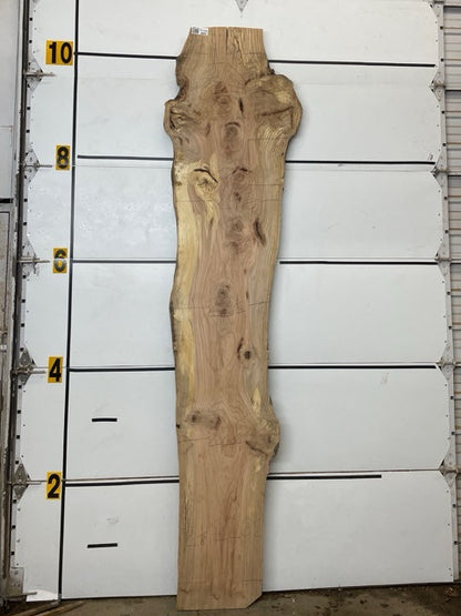 Red Oak Slab #3052