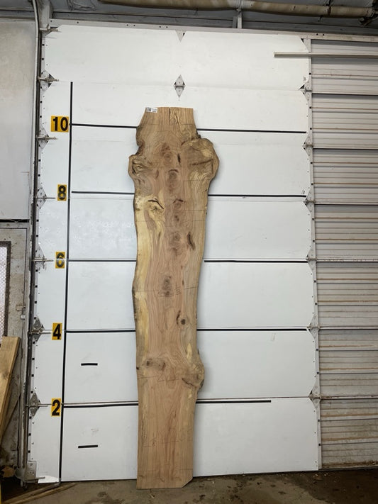 Red Oak Slab #3052