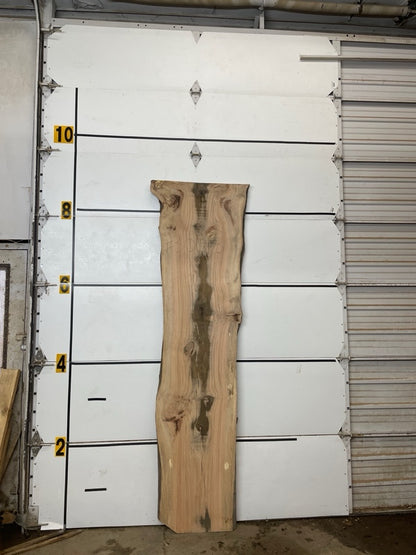 Red Oak Slab #3053