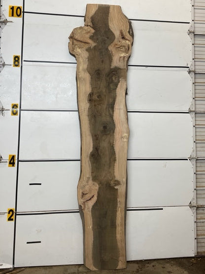 Red Oak Slab #3054