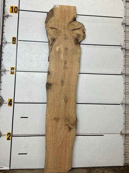 Red Oak Slab #3054