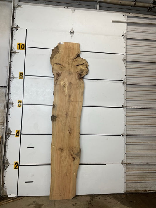 Red Oak Slab #3054