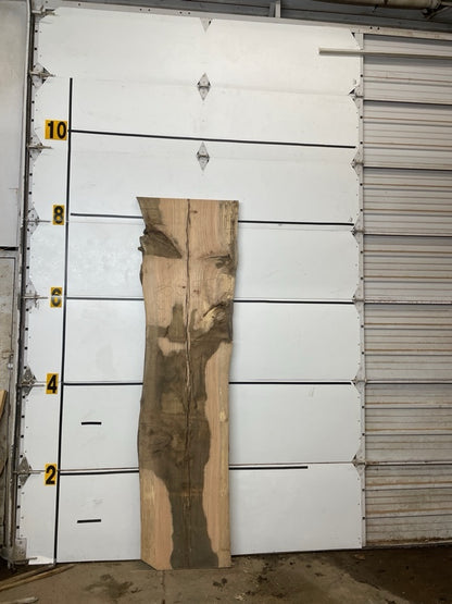 Red Oak Slab #3055