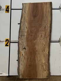 Sycamore Slab #3260