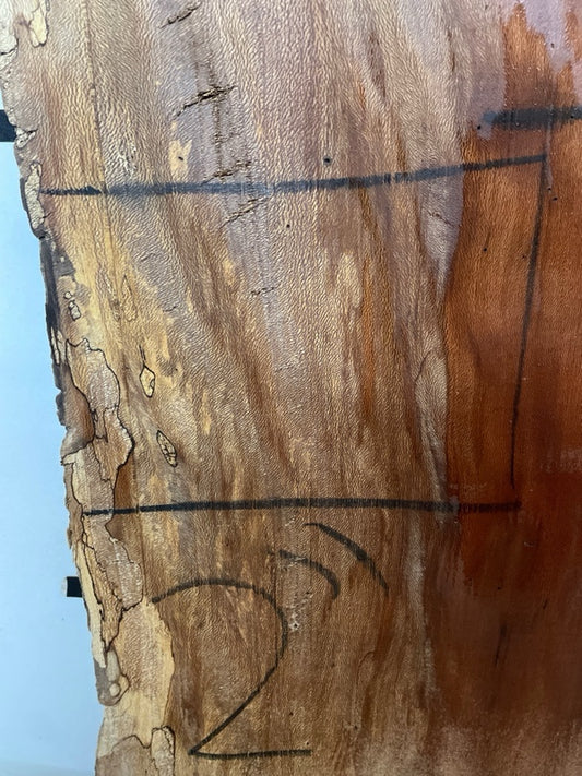 Sycamore Slab #3260