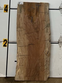 Sycamore Slab #3260