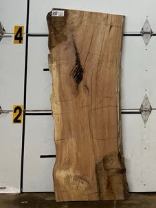 Red Oak Slab #3301