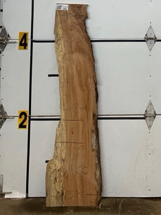 Red Oak Slab #3306