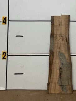 Red Oak Slab #3464